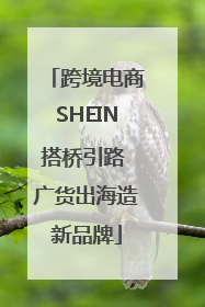 跨境电商SHEIN搭桥引路 广货出海造新品牌