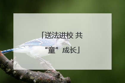 送法进校 共“童”成长
