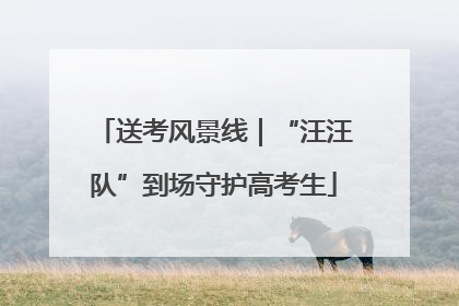 送考风景线｜“汪汪队”到场守护高考生