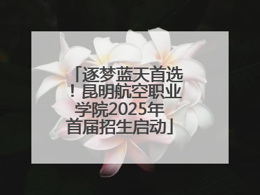 逐梦蓝天首选！昆明航空职业学院2025年首届招生启动