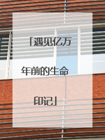遇见亿万年前的生命印记