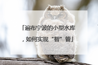 遍布宁波的小型水库，如何实现“智”管