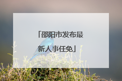 邵阳市发布最新人事任免