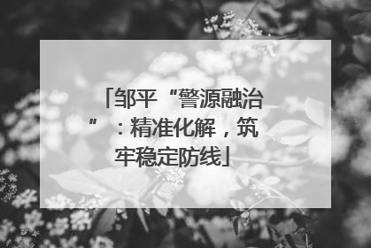 邹平“警源融治”：精准化解，筑牢稳定防线