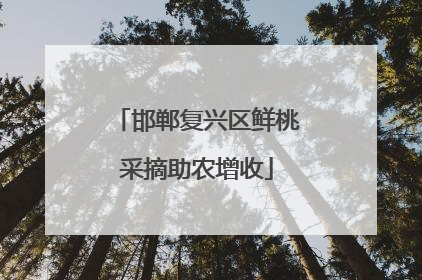 邯郸复兴区鲜桃采摘助农增收