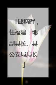 邱炳晖，任福建一地副县长、县公安局局长
