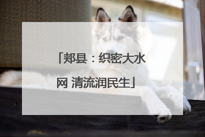 郏县：织密大水网 清流润民生