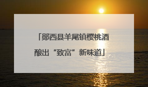 郧西县羊尾镇樱桃酒酿出“致富”新味道