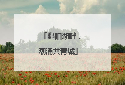 鄱阳湖畔，潮涌共青城