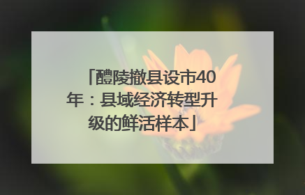 醴陵撤县设市40年：县域经济转型升级的鲜活样本
