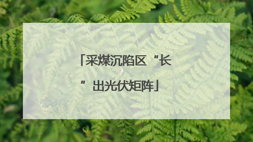采煤沉陷区“长”出光伏矩阵