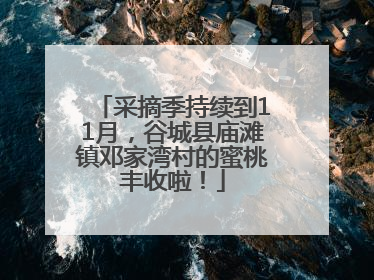 采摘季持续到11月，谷城县庙滩镇邓家湾村的蜜桃丰收啦！
