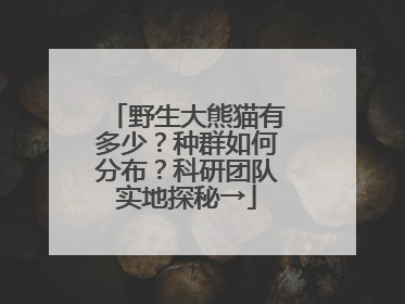 野生大熊猫有多少？种群如何分布？科研团队实地探秘→