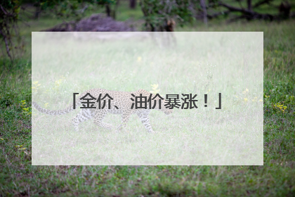 金价、油价暴涨！