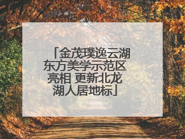 金茂璞逸云湖东方美学示范区亮相 更新北龙湖人居地标