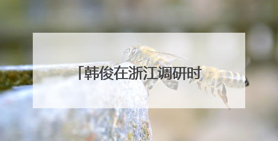 韩俊在浙江调研时强调 完善城乡融合发展体制机制 推进学习运用“千万工程”经验走深走实