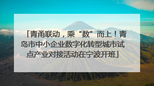 青甬联动，乘“数”而上！青岛市中小企业数字化转型城市试点产业对接活动在宁波开班