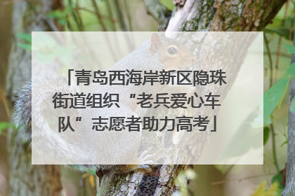 青岛西海岸新区隐珠街道组织“老兵爱心车队”志愿者助力高考