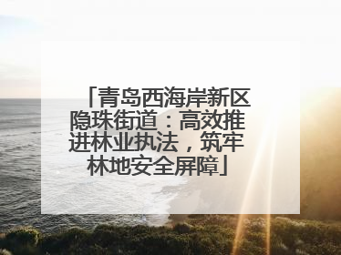 青岛西海岸新区隐珠街道：高效推进林业执法，筑牢林地安全屏障
