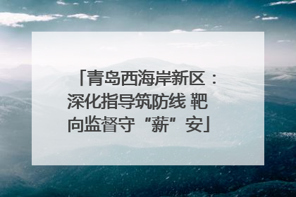 青岛西海岸新区：深化指导筑防线 靶向监督守“薪”安