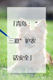 青岛：“三夏”护农话安全