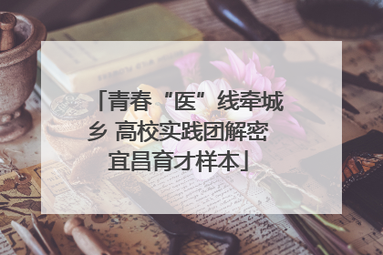 青春“医”线牵城乡 高校实践团解密宜昌育才样本