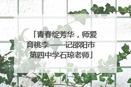 青春绽芳华，师爱育桃李——记邵阳市第四中学石琼老师