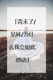 青未了/见林/为什么我会如此感动