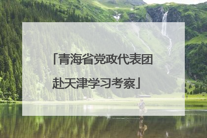青海省党政代表团赴天津学习考察