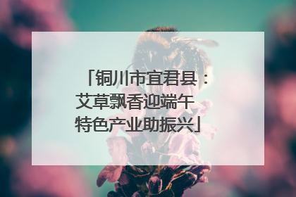 铜川市宜君县：艾草飘香迎端午 特色产业助振兴