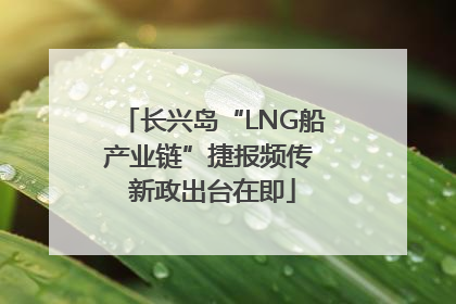 长兴岛“LNG船产业链”捷报频传 新政出台在即