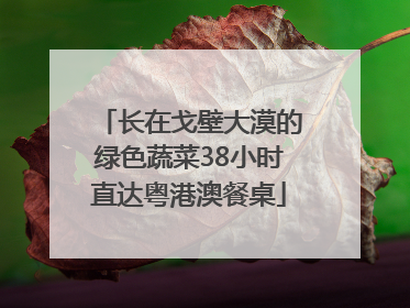 长在戈壁大漠的绿色蔬菜38小时直达粤港澳餐桌