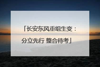 长安东风重组生变：分立先行 整合待考