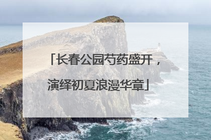 长春公园芍药盛开，演绎初夏浪漫华章
