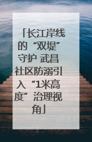 长江岸线的“双堤”守护 武昌社区防溺引入“1米高度”治理视角