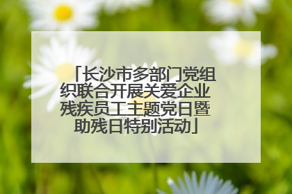 长沙市多部门党组织联合开展关爱企业残疾员工主题党日暨助残日特别活动