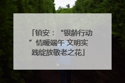 镇安：“银龄行动”情暖端午 文明实践绽放敬老之花