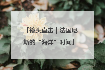 镜头直击｜法国尼斯的“海洋”时间