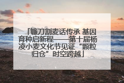 镰刀割麦话传承 基因育种启新程——第十届杨凌小麦文化节见证“颗粒归仓”时空跨越