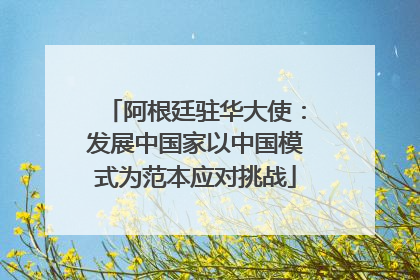 阿根廷驻华大使：发展中国家以中国模式为范本应对挑战