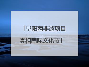 阜阳两非遗项目亮相国际文化节