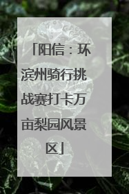 阳信：环滨州骑行挑战赛打卡万亩梨园风景区