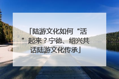 陆游文化如何“活 ”起来？宁德、绍兴共话陆游文化传承