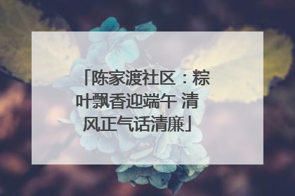 陈家渡社区：粽叶飘香迎端午 清风正气话清廉