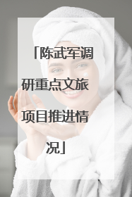 陈武军调研重点文旅项目推进情况
