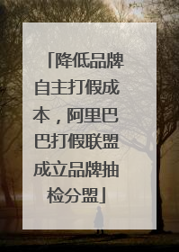 降低品牌自主打假成本，阿里巴巴打假联盟成立品牌抽检分盟