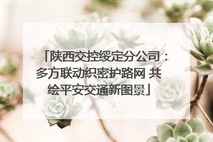 陕西交控绥定分公司：多方联动织密护路网 共绘平安交通新图景