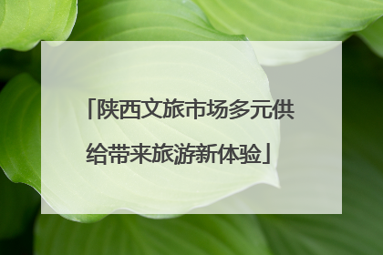 陕西文旅市场多元供给带来旅游新体验