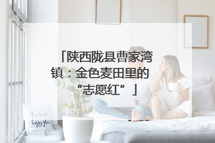 陕西陇县曹家湾镇：金色麦田里的“志愿红”