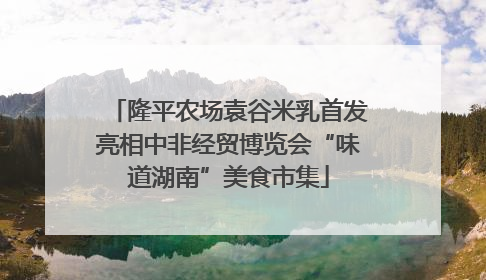 隆平农场袁谷米乳首发亮相中非经贸博览会“味道湖南”美食市集